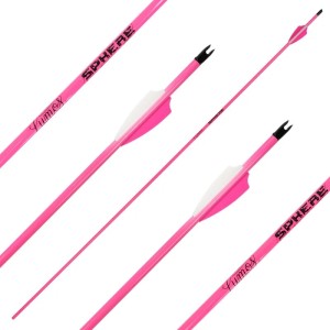 Komplettpfeil Sphere Lumos 4.2 Carbon Neon Pink