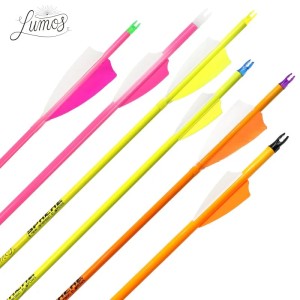 Komplettpfeil Sphere Lumos 4.2 Carbon Neon