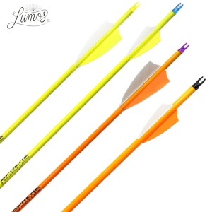 Komplettpfeil Sphere Lumos 6.2 Carbon Neon