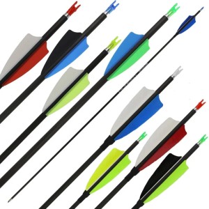 Komplettpfeil Sphere Pioneer 4.2 - Carbon